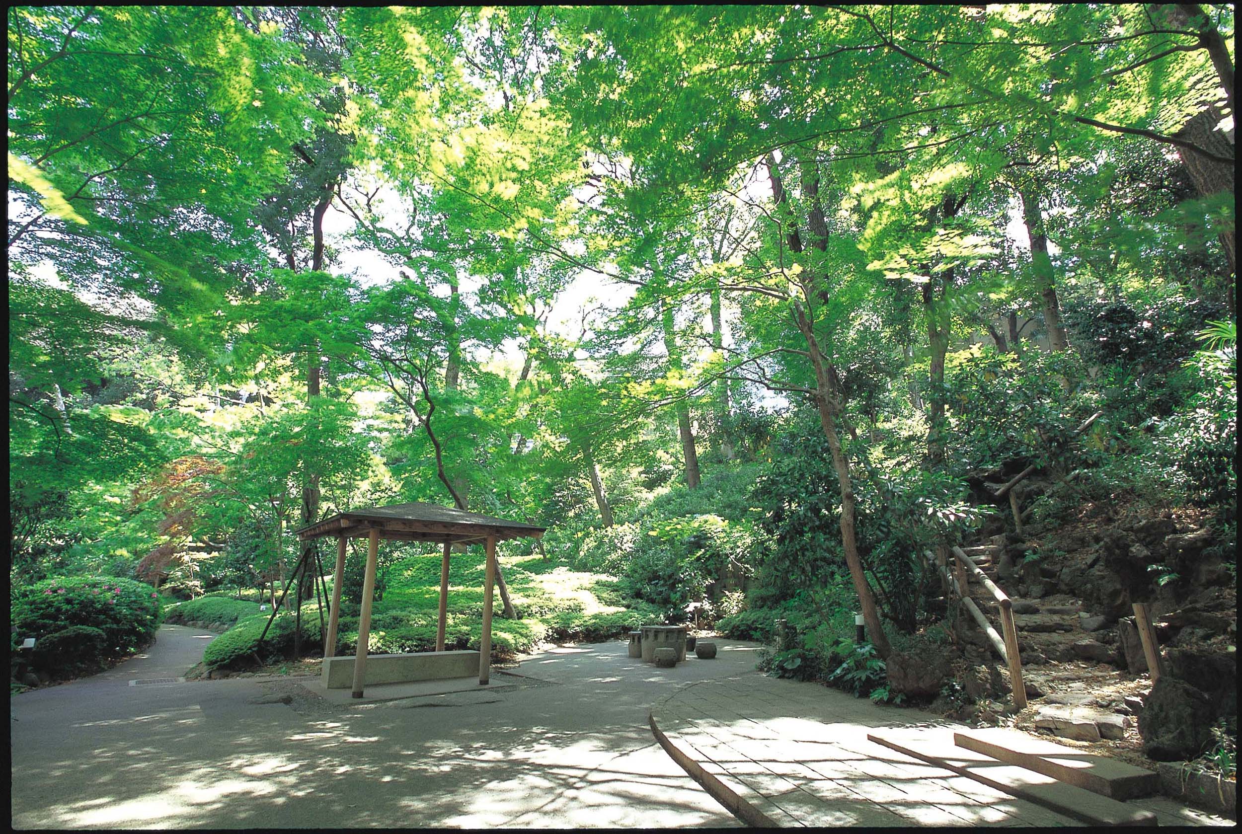 約1800坪、6000㎡の日本庭園